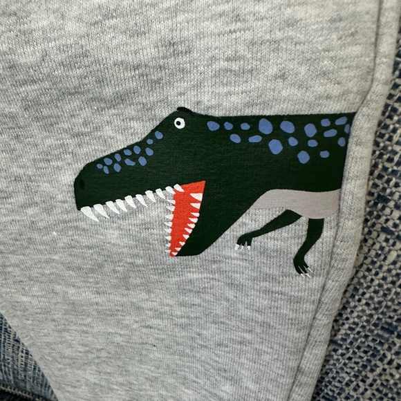 Joules NWT Boys Grey Champion GRMDINO Sweat Pants—Age 1, Height 31.5 - Picture 3 of 7